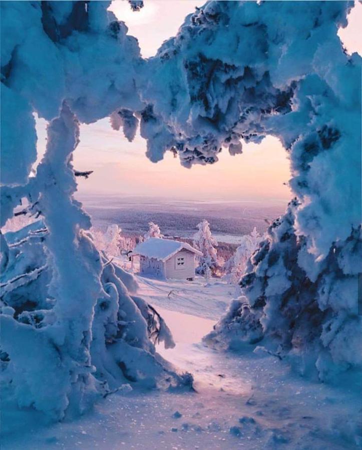 Virpi Rovaniemi