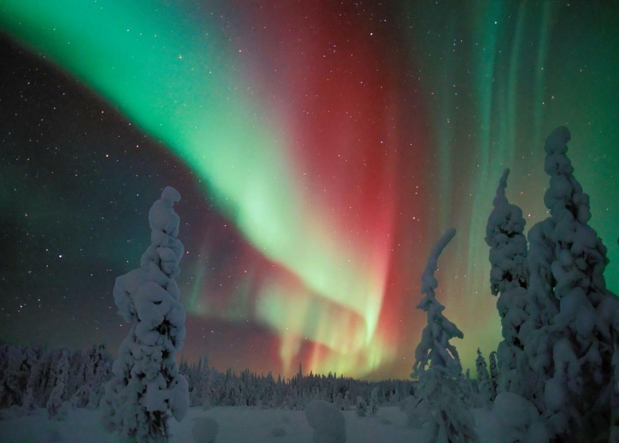 Virpi Kotimajoitukset